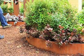 Corten Round Garden Beds Photo