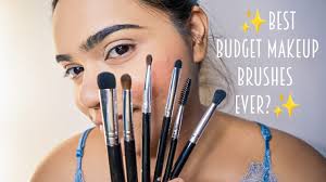 ducare eye makeup brush set review