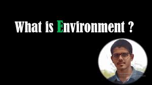Some examples of things we find living in the environment are other humans, plants, animals, and even microscopic living things like bacteria and fungus. What Is Environment Youtube