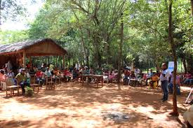 Comunidades Mbya Guaraní impulsan un proyecto para revitalización de su cultura - FAPI