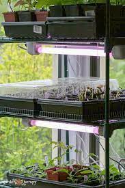 Do Grow Lights For Indoor Plants Work
