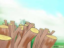 When temps are above 80 plants are stressed & you take your chances possibly causing some damage. How To Prune Azaleas 8 Steps With Pictures Wikihow