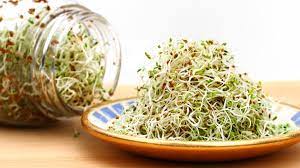alfalfa benefits for cholesterol and