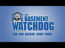 Basement Watchdog Big Dog Connect Sump