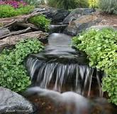 How do I keep my pond water clear?