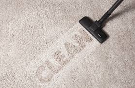 top rated carpet cleaner in seattle