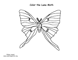 Colored pencils, crayons, markers or anything you have work well for coloring. Luna Moth Coloring Page Coloring Home