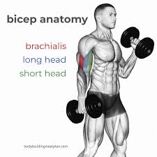 13 simple bicep stretches to loosen