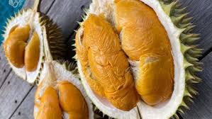 Vietnam Durian Export 👍💵 - 越南榴莲出口 -ทุเรียนเวียดนาม #expensivefood -  #fruit #durian #榴莲 #food #export - YouTube