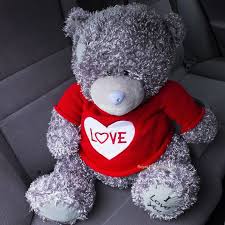teddy bear teddy bear teddy love