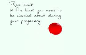 bleeding or spotting in early pregnancy