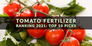 10 best tomato fertilizers to in