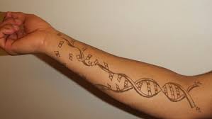 Check spelling or type a new query. 20 Tatuagens De Pessoas Que Amam Biologia Topbiologia Com