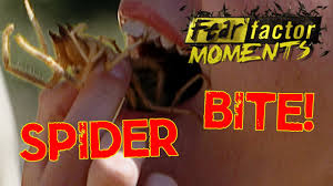 Please, share useful information in your social network! Fear Factor Moments Eat Camel Spiders Youtube