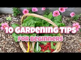 10 Beginner Gardening Tips Gardening