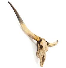 Texas Longhorn Steer Skull Rustic Lodge