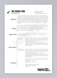 Resume Template With Ms Word File   Free Download  by designphantom   Pinterest