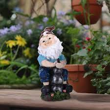 funny garden gnome for outdoors here