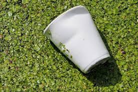 Environmental Impact Of Styrofoam Cups