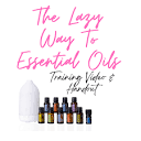 Essential Oil Coaching & Wellness Session & Plan | Essential Oils ...