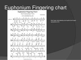 Euphonium Pp