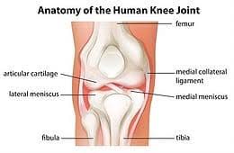 knee pain running physical therapy