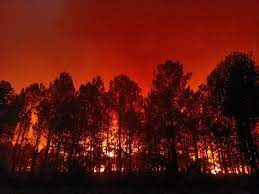 Incendie en cours en Gironde : 1 300 hectares détruits par le feu, un  village évacué | Actu Bordeaux