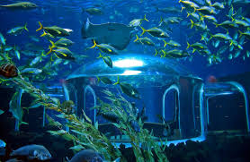 large poema del mar aquarium extends