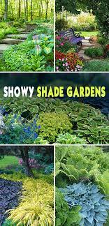 showy shade garden ideas the garden glove