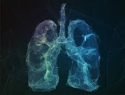 Chronic obstructive pulmonary disease (copd) refers to two lung diseases that cause difficulty breathing. Lungenkrankheit Copd Verstehen Erkrankung Erklart