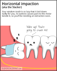 Seaforth Oral Surgery gambar png