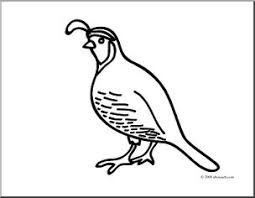 Download or print quail outline coloring page for free plus other related quail coloring page. 37 Best Ideas For Coloring Quail Coloring Page For Preschool