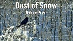 dust of snow summary cl 10 english