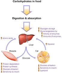 glycogen storage disease types causes