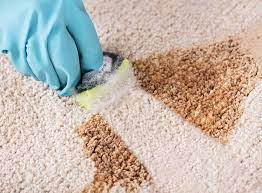how to get coffee stains out of carpet