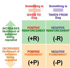 Positive Reinforcement Vs Negative Reinforcement Operant