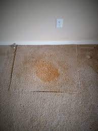 majestic carpets reviews knoxville