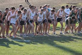 cross country better than track