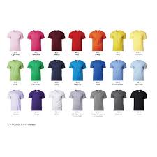 Gildan Softstyle 63000 Cotton Tshirt