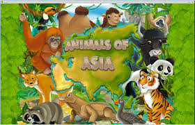 Image result for Asian animals