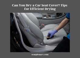 Can You Dry A Car Seat Cover Tips