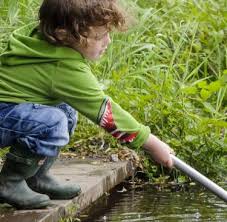 Pond Dipping Activities For Kids For Spring Summer The