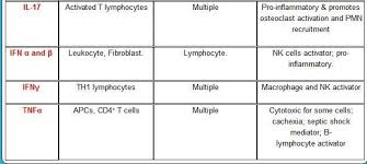 Major Interleukins Cytokins And Their Functions