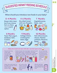 Detailed Information On Baby Food Infographic Presentation