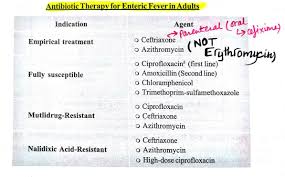 Antibiotic Therapy Of Enteric Fever In Adults Typhoid