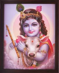Lord Child Bal Krishna Playing with Cow ...