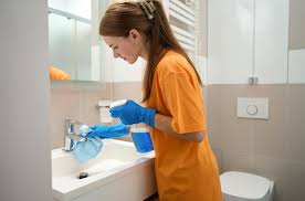are professional cleaning services