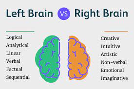 left brained vs right brained