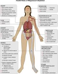 magnesium sciencedirect