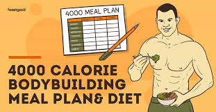 4000 calorie bodybuilding meal plan